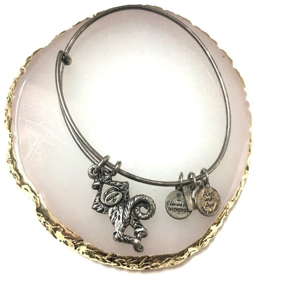 Alex and Ani retired monkey charm bracelet bangle: Playful! Fun! - Picture 2 of 3